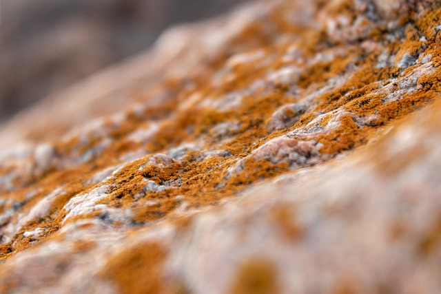 leathered stone surface tactile texture close up interior materials sample